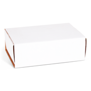 Foam_Lined_Postal_Sleeves__-_180_mm_x_120_mm_x__55_mm